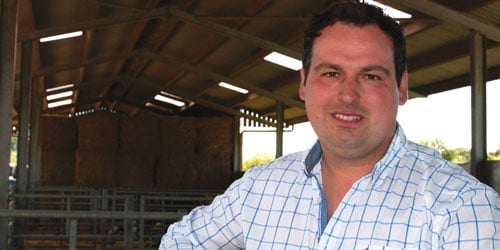 Actisaf helps rumen performance in dairy cows