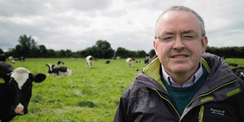 Actisaf helps maintain performance on spring grazing for high-genetic merit herd