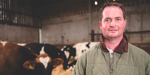 Actisaf® supports milk composition