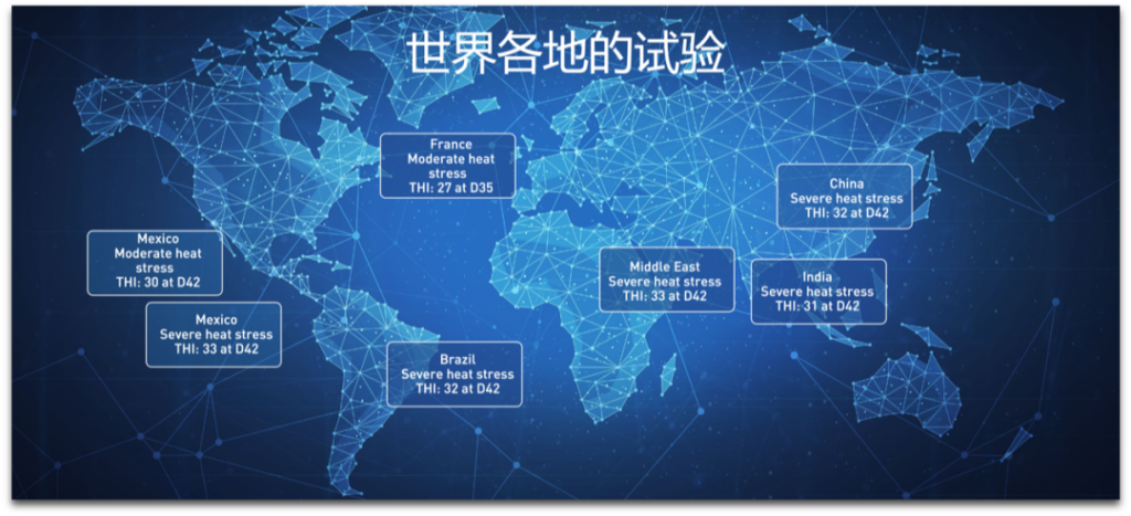 Phileo在家禽热应激上的世界各地的试验分布