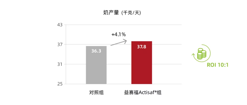 益赛福Sc47提高热应激下的产奶量