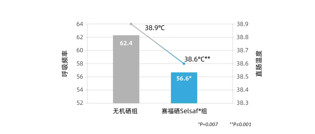 赛福硒增加热应激条件下的直肠温度和呼吸频率