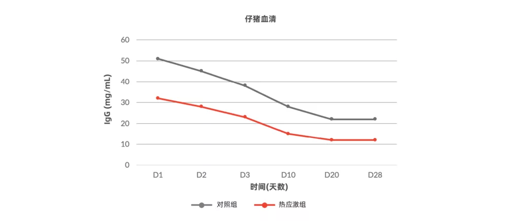 热应激对仔猪血清中IgG水平的影响