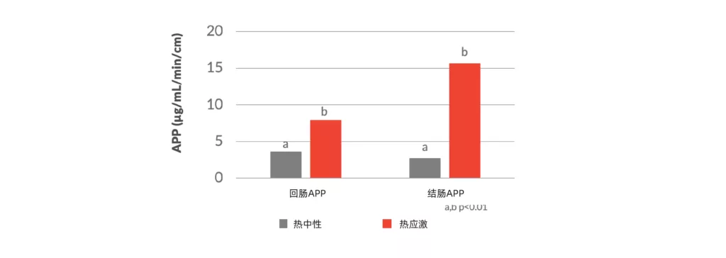 热应激对回肠和结肠APP的影响