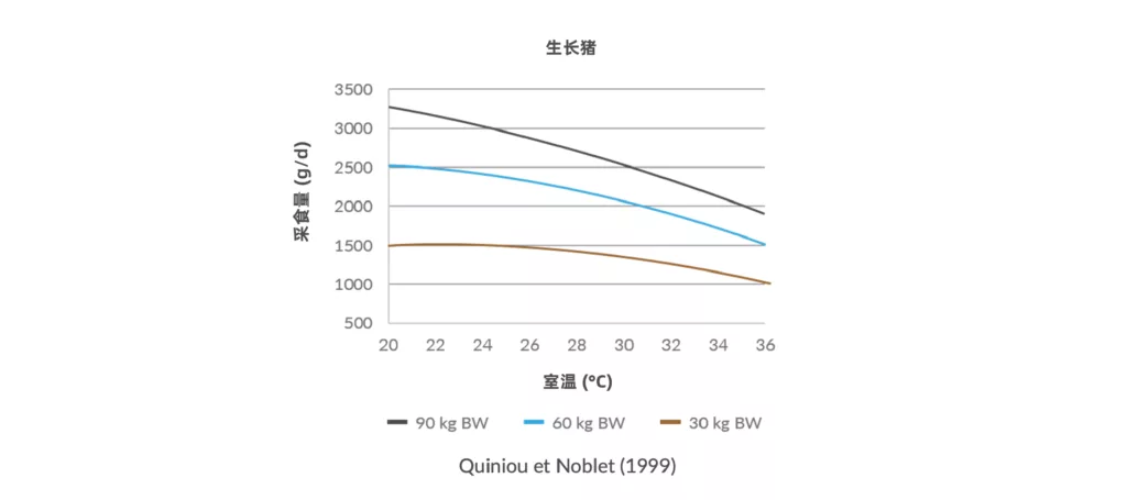 热应激对生长猪采食量的影响