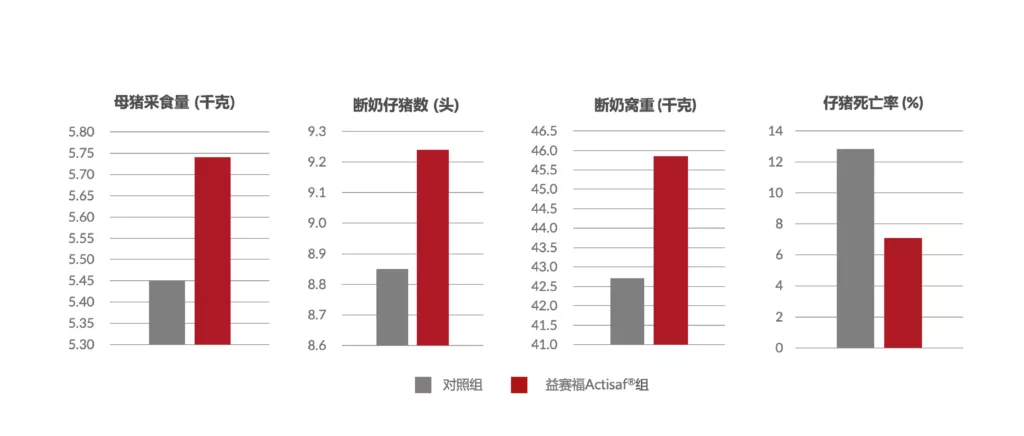 益赛福改善母猪采食量、断奶仔猪数、断奶窝重和仔猪死亡率