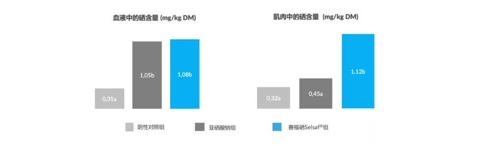 赛福硒提升生猪血液中和肌肉中的硒含量