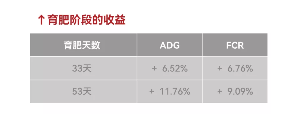 益赛福提升育肥羊育肥阶段的收益