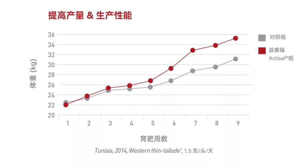 益赛福提高产量和生产性能