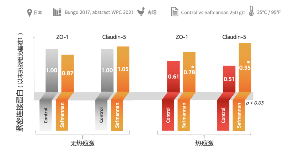 赛福多糖促进肠道紧密连接蛋白的表达量