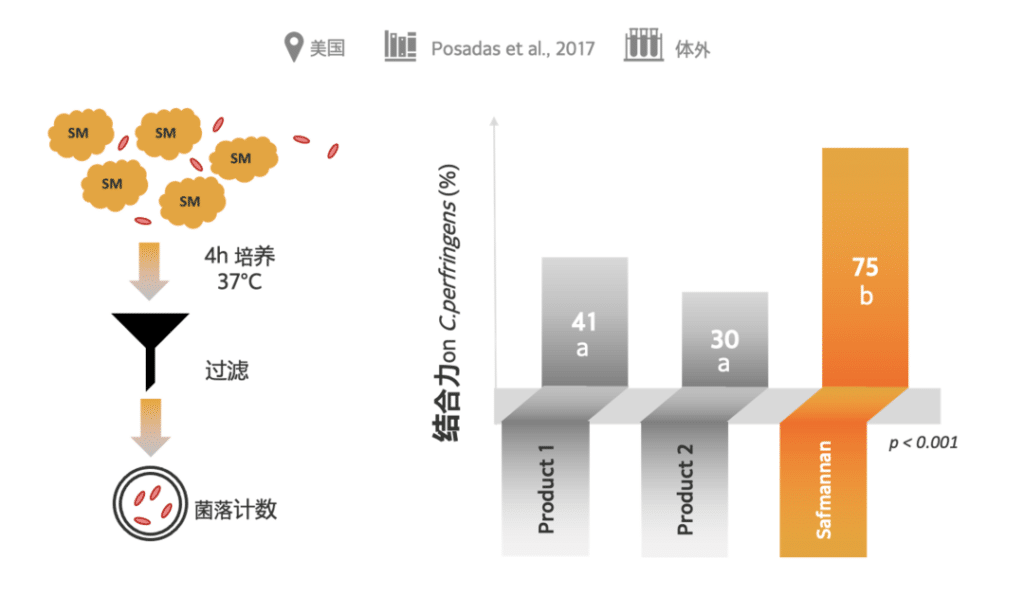 赛福多糖可粘附产气荚膜梭菌