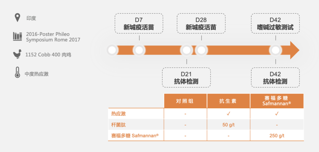 肉鸡热应激试验设计(印度)