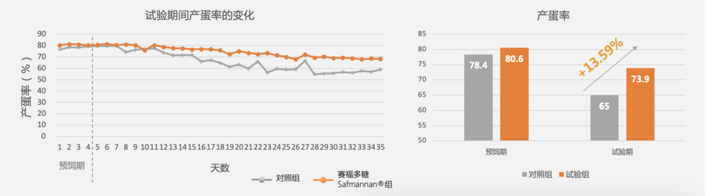 赛福多糖提高热应激下种鸭的产蛋率