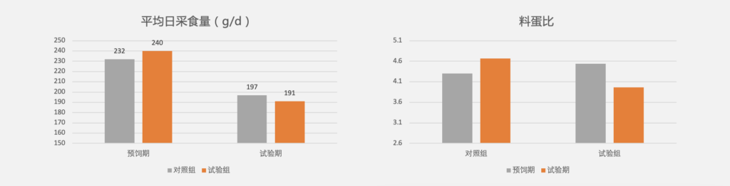 赛福多糖提高热应激下种鸭的生产性能