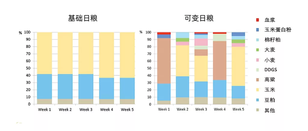 试验配方组成设计