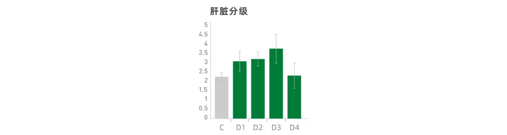 倍赛福替代鱼粉对加州鲈肝脏的打分结果