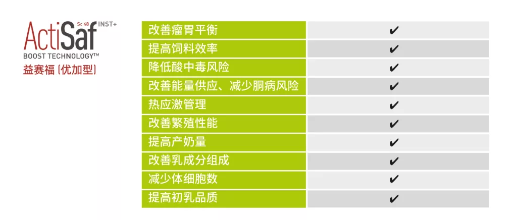 益赛福优加型提供全方位支持