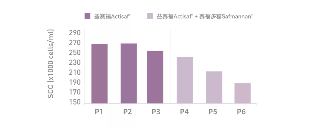 补充赛福多糖SCC降低