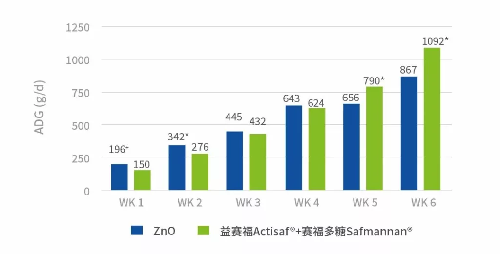 无氧化锌解决方案的日增重效果