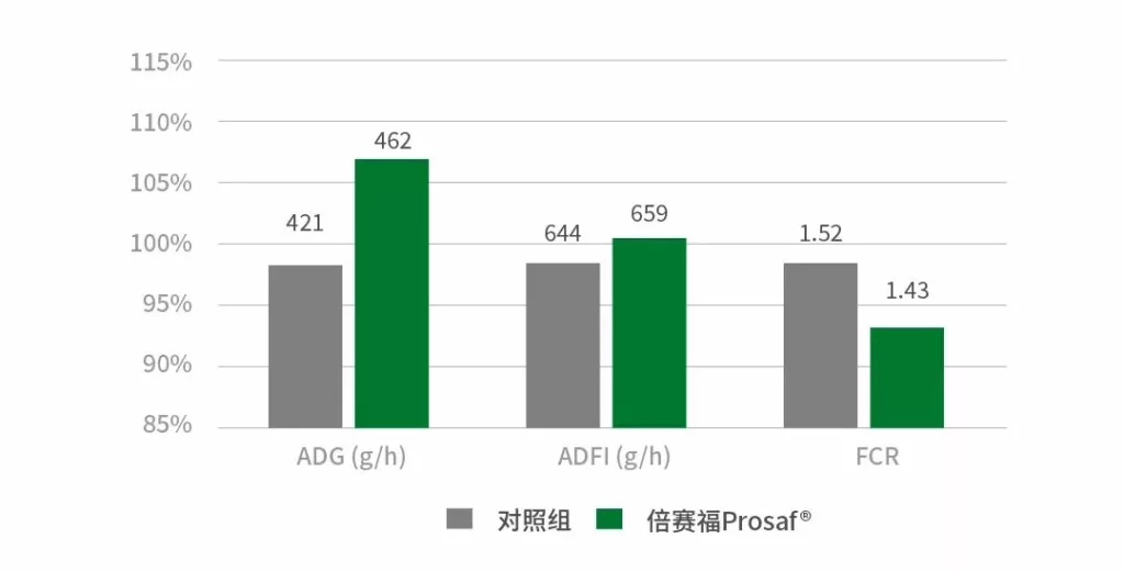 无氧化锌解决方案的日增重、采食量、料肉比效果