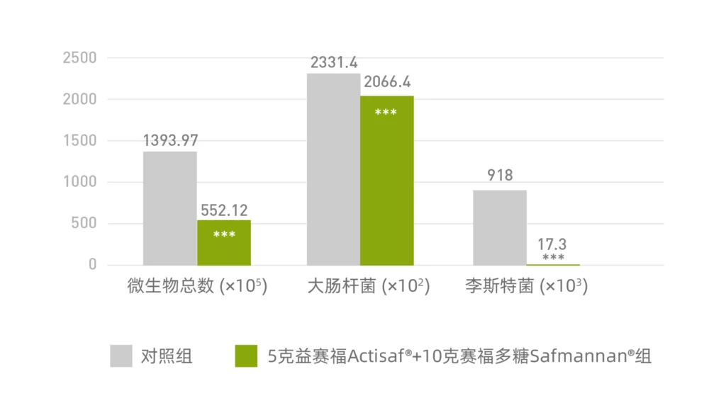 直肠样本细菌分析