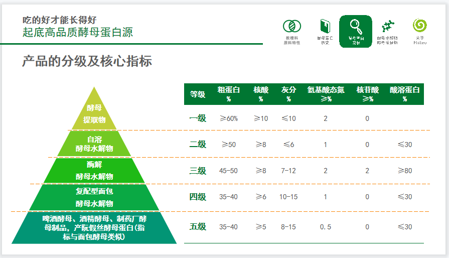 酵母蛋白类产品的分级及核心指标