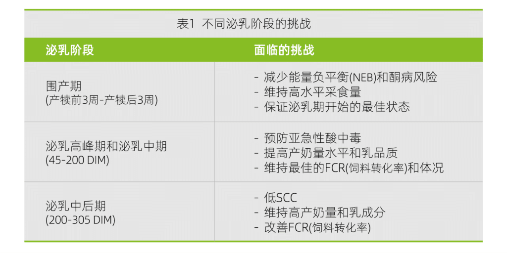 不同泌乳阶段的挑战